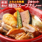 【2食（250g×2袋）】北海道極旨 とろとろ角煮のスープカレー【B】
