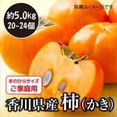 【予約】10/24~順次出荷【約5.0kg】香川県産柿(ご家庭用・サイズ混合)