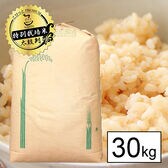 【30kg】新米 令和5年産 特別栽培米 山梨県産 五百川 1等玄米