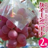 【約1kg/2房】赤系大粒ぶどう『クイーンニーナ』長野県産
