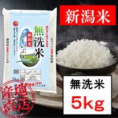 【5kg】無洗米 新潟産こしいぶき 令和5年産