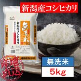 【5kg】無洗米 新潟県産 コシヒカリ 令和5年産