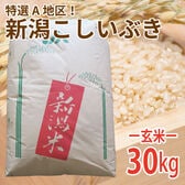 【30kg (30kg×1袋)】令和5年産  玄米 大人気！新潟県上越産こしいぶき (玄米)