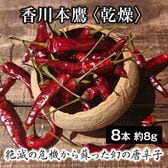【8本 約8g】香川本鷹（かがわほんたか）＜乾燥＞絶滅の危機から蘇った幻の唐辛子！