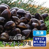【約1.5kg(300g×5袋)Mサイズ】島根県宍道湖産ヤマトシジミ