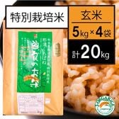 令和5年産【20kg】特別栽培米 玄米 「曽良のお米（そらのおこめ）」5kg×4袋