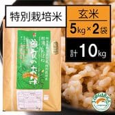 令和5年産【10kg】特別栽培米 玄米「曽良のお米（そらのおこめ）」Jオーガライス