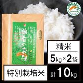 令和5年産【10kg】特別栽培米 精米「曽良のお米（そらのおこめ）」Jオーガライス