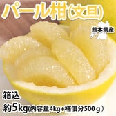 【箱込約5kg】熊本県産 パール柑（傷あり、不揃い、ご家庭用）