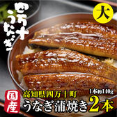 【2本(約140g×2本)】高知県産 高級うなぎ蒲焼(大) 贅沢な絶品うなぎ
