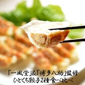 【2種/計60個】「一風堂」&「博多八助」監修 ひとくち餃子セット