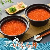 【小樽直送】いくら丼（280g×2）