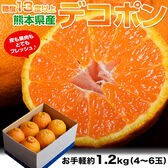 【約1.2kg(4-6玉)】熊本県産 高糖度 デコポン