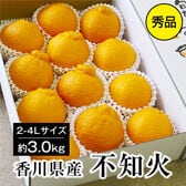 【約3.0kg(2L-4L)秀品】香川県産 不知火 デコポン 同品種 大きなサイズ