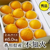 【約5.0kg(2L-4L)秀品】香川県産 不知火 デコポン 同品種 大きなサイズ たっぷりお届け！