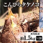 【約1.5kg】香川県産 こんぴらタケノコ