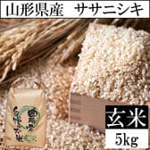 【5kg】令和5年産 山形県産 ササニシキ （玄米）
