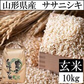 【10kg】令和5年 山形県産 ササニシキ （玄米）