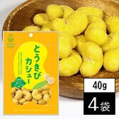 【40g×4袋】池田食品オリジナルカシューナッツ とうきびカシュー