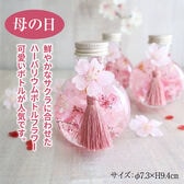 【贈り物に最適♪】とても可愛いハーバリウムボトルフラワー【桜-サクラ-Artirium*さくら猫】