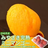 【約400g/S〜3Sサイズ（3〜8玉）】みやざき完熟ミニマンゴー