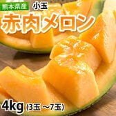 【4kg(3~7玉)】熊本県産 小玉 赤肉メロン(ご家庭用・傷あり)