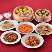 【9種/計9袋】四川飯店 本格中華料理セット