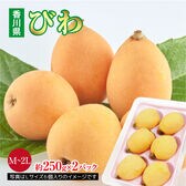 【約500g(M~2L・約250g×2)】香川県産びわ