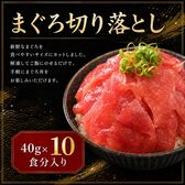 【計400g/40g×10食】まぐろ切り落し