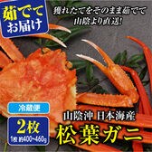 週末土日着で出荷【2枚×(400-460g)】山陰沖日本海産 松葉ガニ(ボイル)