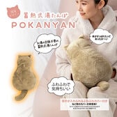 【チャタロウ】蓄電式湯たんぽ ぽかにゃん