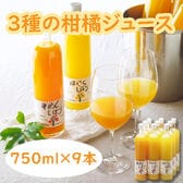 【計9本セット】「伊藤農園」 3種の柑橘ジュース飲み比べセット