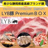 【5種計2.5kg】静岡県産ブランド豚「LYB豚/ルイビ豚」PREMIUM BOX