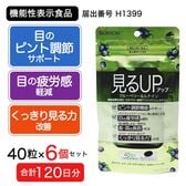 【120日分(6個セット)】見るアップ　ブルーベリー＆ルテイン　40粒 [機能性表示食品]