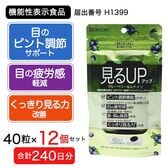 【240日分(12個セット)】見るアップ　ブルーベリー＆ルテイン　40粒 [機能性表示食品]