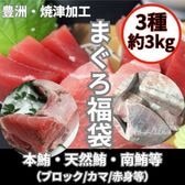 【3種約3kg】まぐろ福袋(カマ/刺身ブロック/頭等)(本鮪/目鉢鮪/南鮪等々)