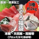 【3種約2kg】まぐろ福袋（ブロック/カマ/赤身等）（本鮪/目鉢鮪/南鮪等々）