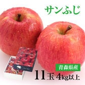 【4kg以上(秀品 大玉 11玉)】青森県産サンふじりんご