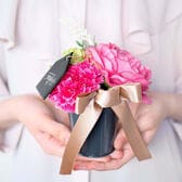 母の日のカーネーションポット ベリーピンク