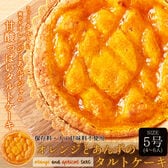 【5号 】オレンジ ＆ あんず の タルト ケーキ（保存料・人工甘味料不使）