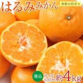 【約4kg/サイズ・産地お任せ】はるみ　優品