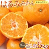 【約5kg/サイズ・産地お任せ】はるみ　秀品