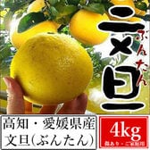 【4kg】高知・愛媛県産 文旦(ぶんたん)(ご家庭用・傷あり)