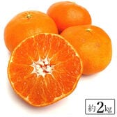 【約2kg】愛媛県産 甘平(かんぺい)(ご家庭用・傷あり)