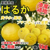 【5kgセット】 愛媛県産はるか (ご家庭用・傷あり) YDF-005