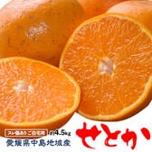 【約4.5kg】愛媛県中島産せとか