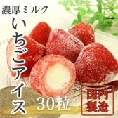 【濃厚】ミルクのまるごと苺アイス 30粒