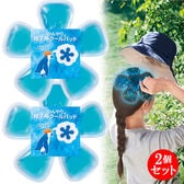 【2個セット】ひんやり帽子用クールパッド