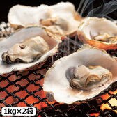 【計2kg/1kg×2袋】伊勢志摩産レンジで食べられる殻付き牡蠣