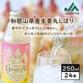 【瓶250ml×24本】和歌山県産生姜丸しぼり わかやまジンジャーエール／紀州てまり野菜の新生姜使用